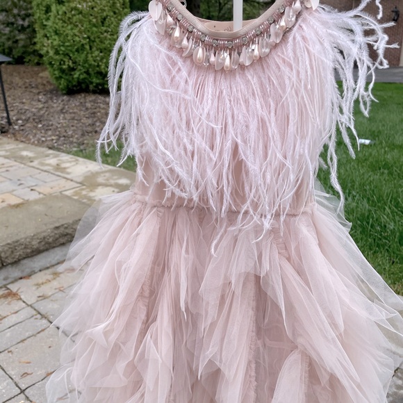 Gorg tutu du monde swan queen dress in blush pink - Picture 2 of 4
